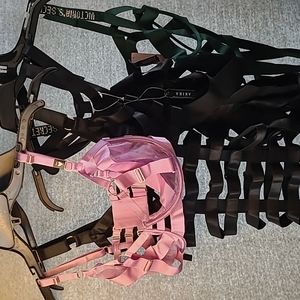 Victoria Secret and Akira